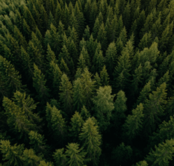 Environment
