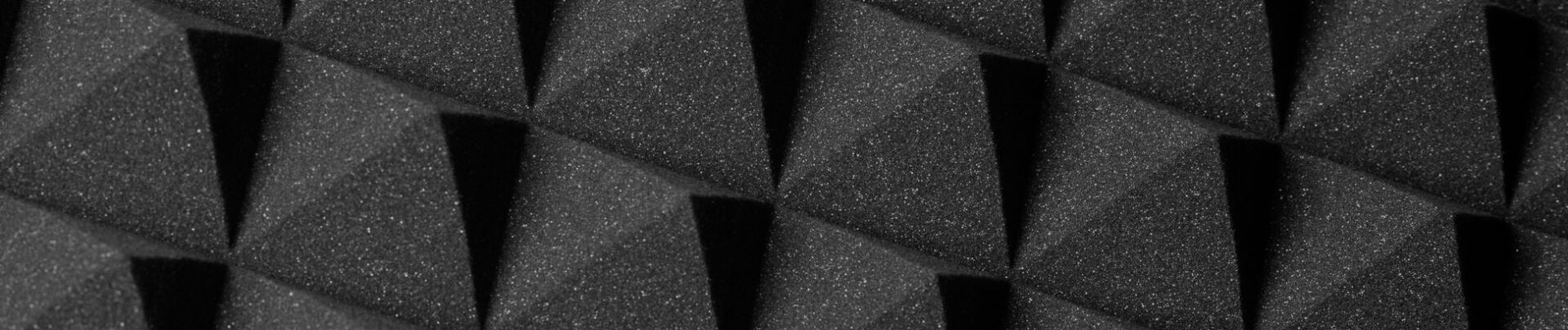 Speakers Background